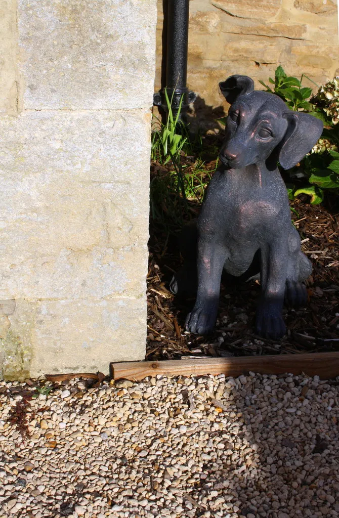 A Nose for the Coast: My Week at The Breezy Inn, As Told By the Dog