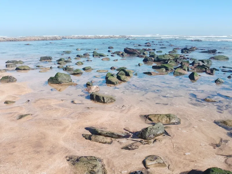 Let the Ocean Set Your Schedule: Why Tide Charts Beat Alarm Clocks