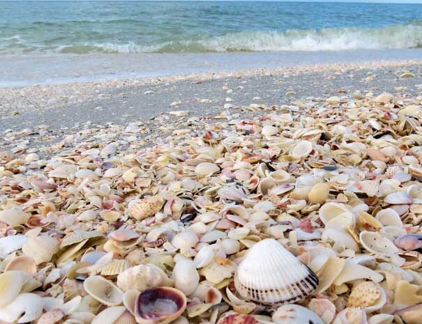 The BreezyInn Jensen beach Shells